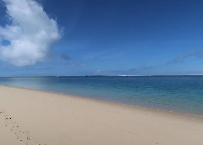 Atlandes - Entre Lac Et Mer