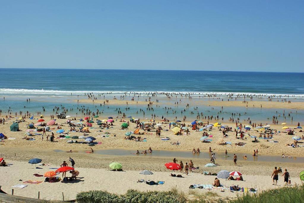 Camping Atlandes - Entre Et Biscarrosse