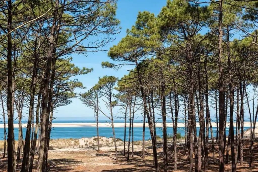 Campingplatz Atlandes - Entre Et